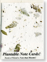 seeded note cards